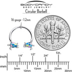 16G 3/8 Glitter Turtle Horseshoe Circular Barbell