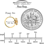 20G 5/16 Clear CZ Gem Gold Tone Glam Snowflake Nose Hoop