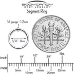 16G Clear Cubic Zirconia Forward Facing Hinged Segment Ring