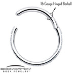 16G Clear Cubic Zirconia Forward Facing Hinged Segment Ring