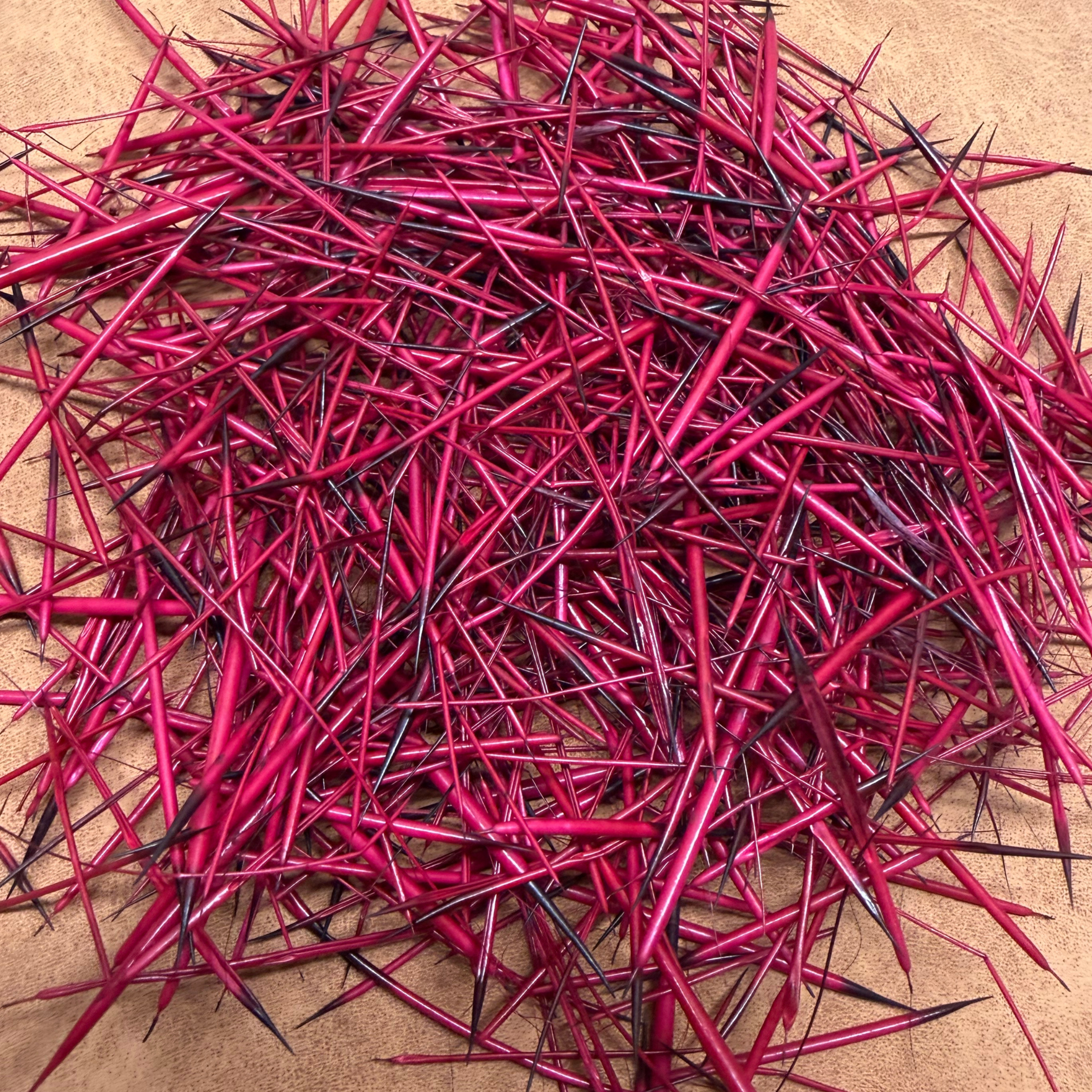 Colored Quills *8 Colors to Choose From*