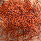 Colored Quills *8 Colors to Choose From*