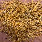 Colored Quills *8 Colors to Choose From*