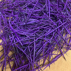 Colored Quills *8 Colors to Choose From*