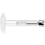 Solid 14K White Gold June 1.5mm CZ Bioplast Push in Labret Monroe