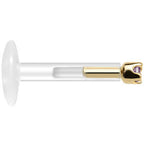 Solid 14K Yellow Gold June 1.5mm CZ Bioplast Push in Labret Monroe