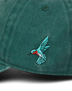 'YOU ARE ON NATIVE LAND' ORGANIC CAP