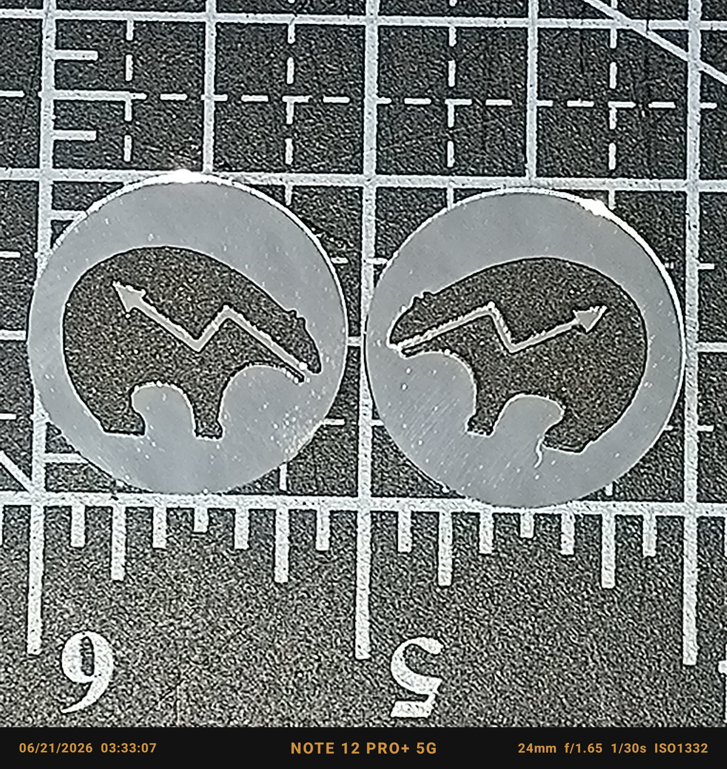 Bear Mirror Cabs