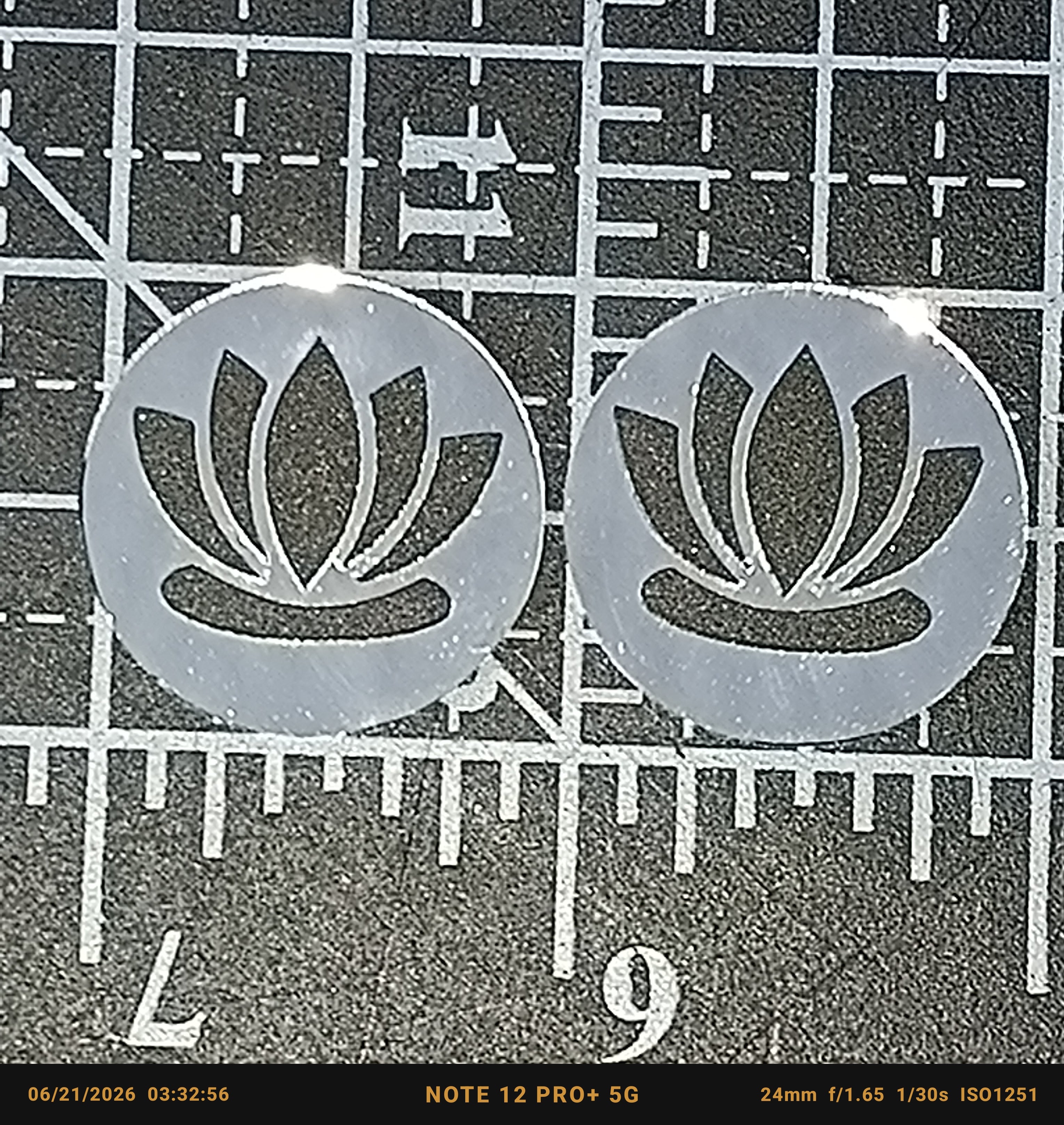 Lotus Flower Mirror Cabs