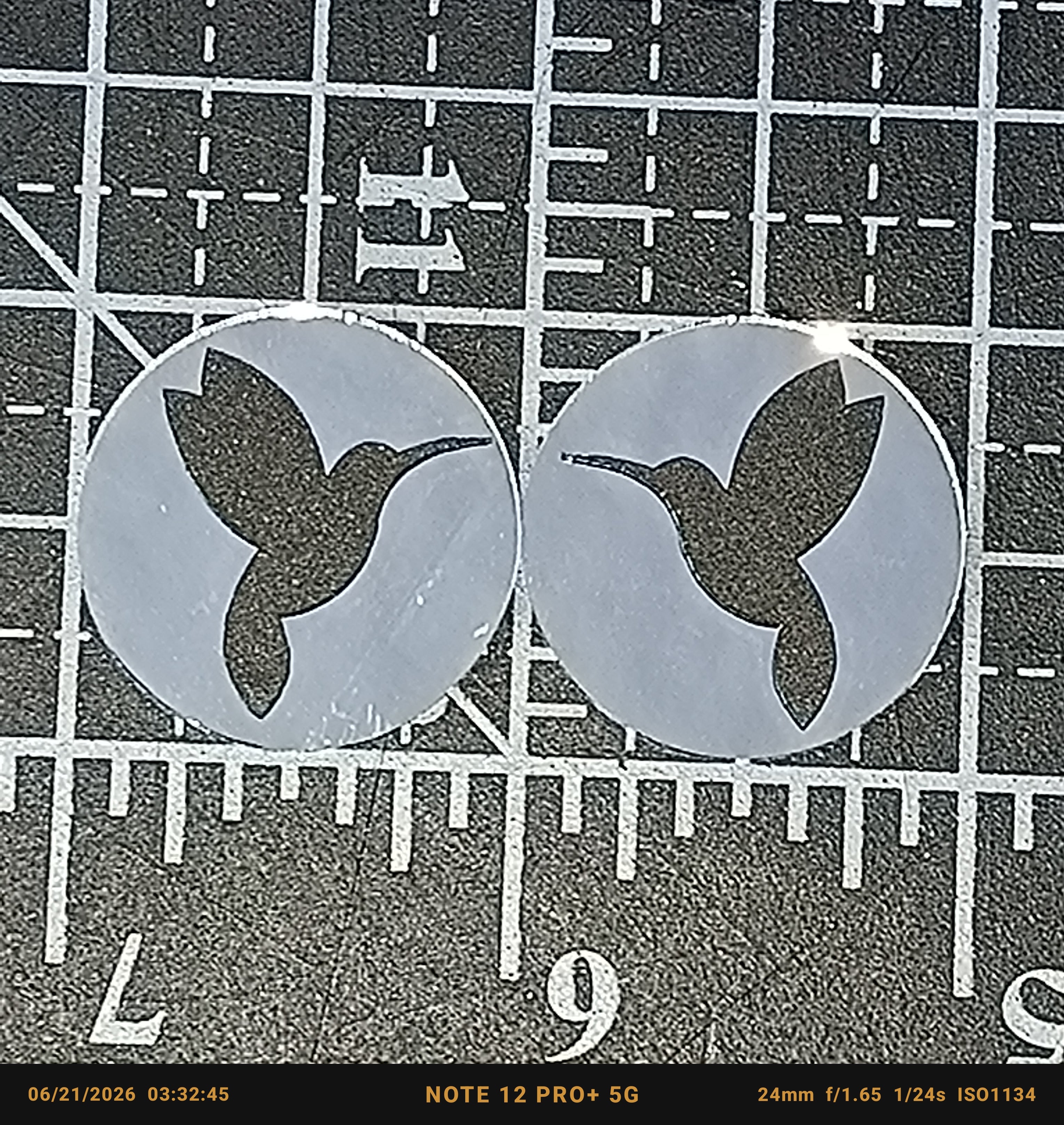 Hummingbird Mirror Cabs