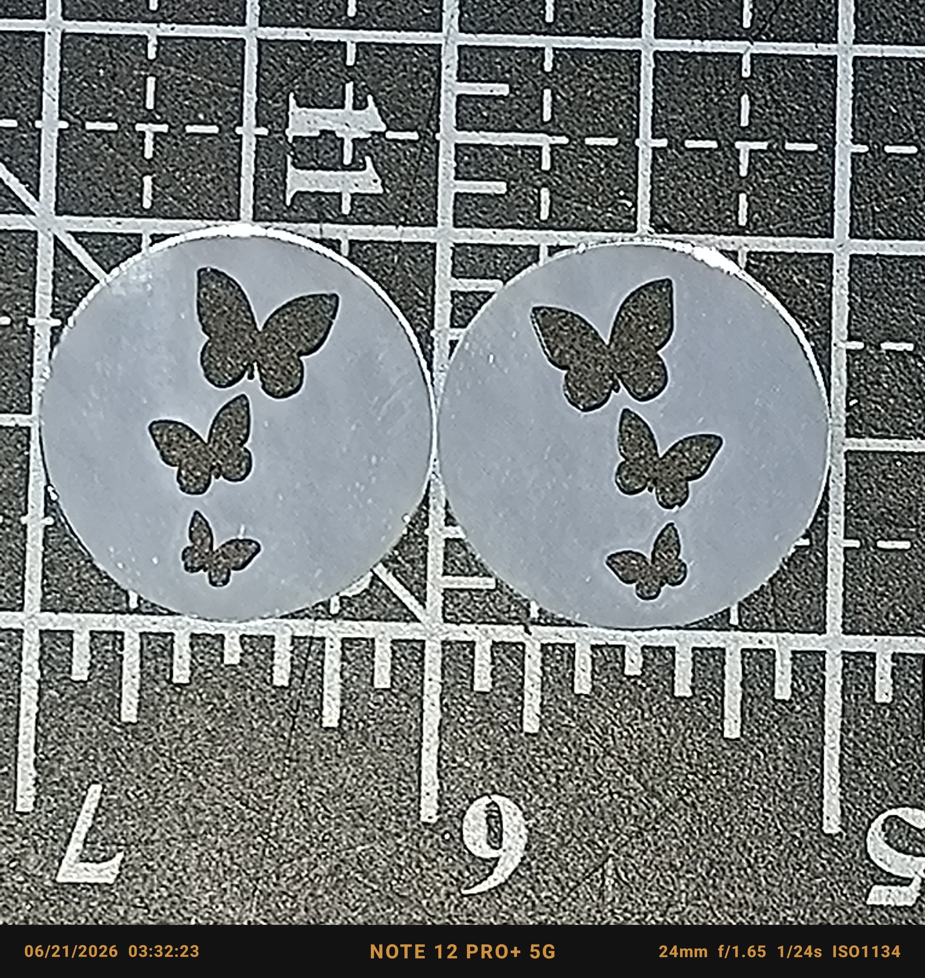 Butterfly Mirror Cabs