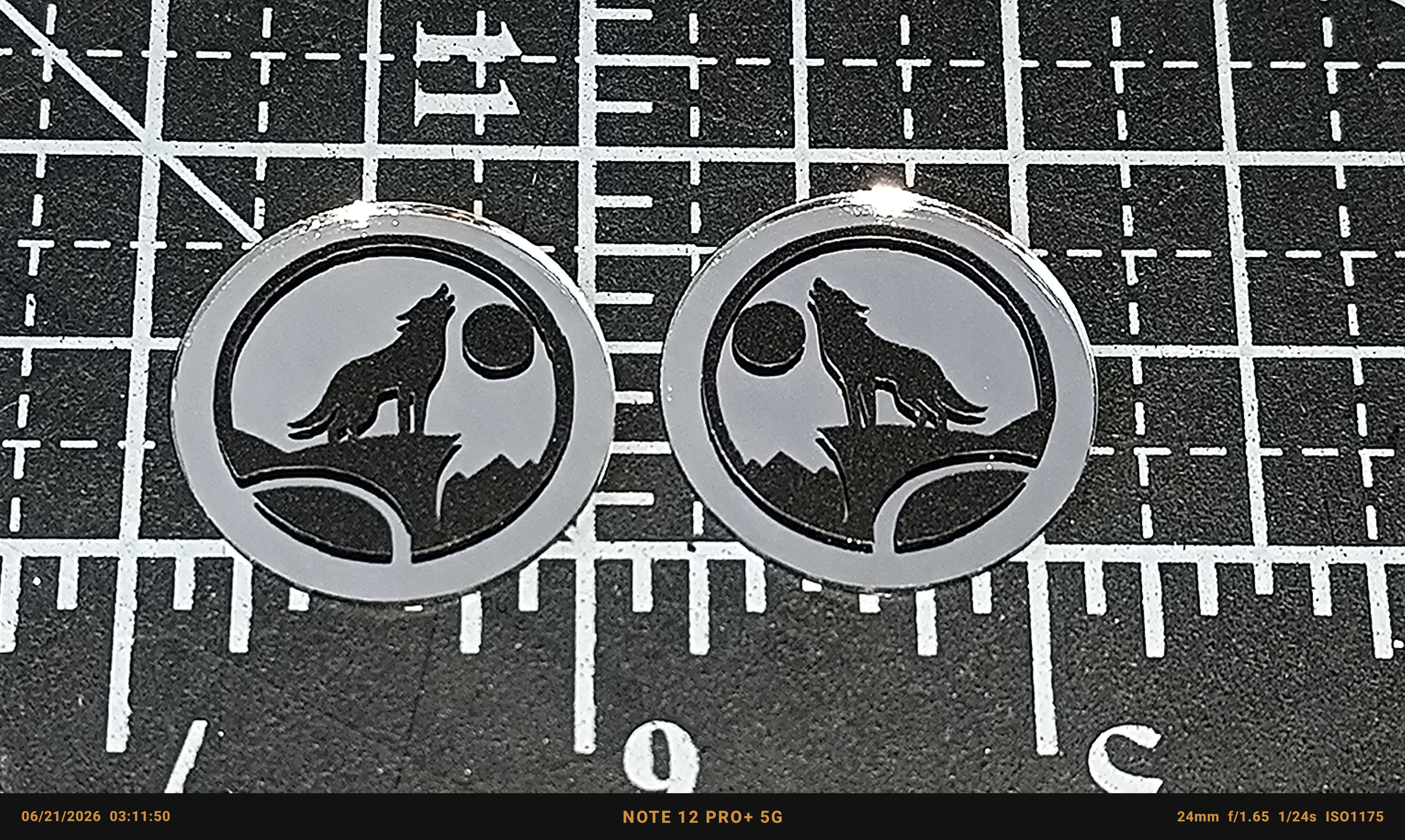 Wolf howling at the Moon Mirror Cabs