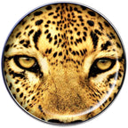 16G 1/4 Full Color Leopard Eyes Tragus Cartilage Earring