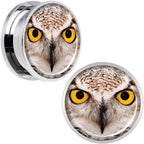 Full Color Owl Steel Screw Fit Plug Set 20mm